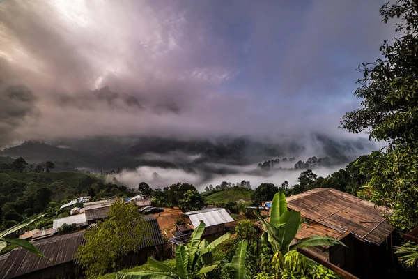 Hermoso Panorama Matutino Bosque Cubierto Por Nubes Bajas Salida Del — Foto de Stock