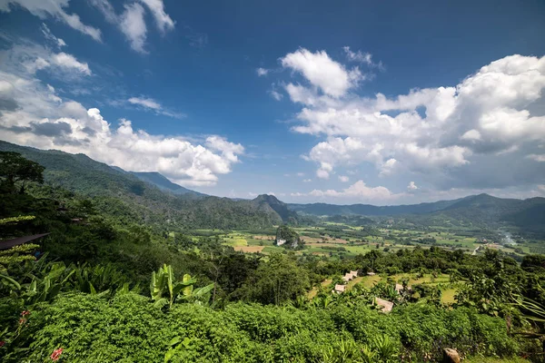 Ландшафт Ванн Пху Ланке Небольшая Тропа Корень Похода Величественный Живописный — стоковое фото