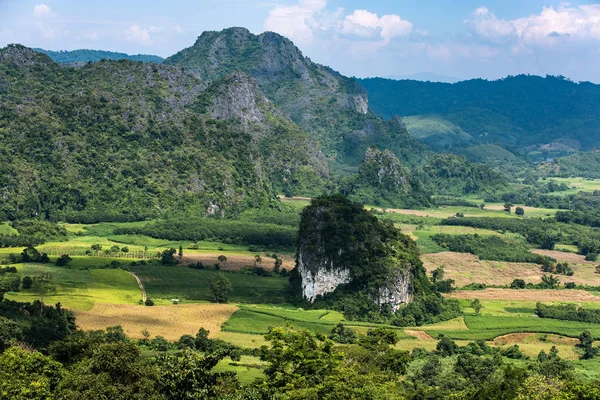 Beau Paysage Vallée Phu Lanka Petit Sentier Racine Randonnée Vue — Photo