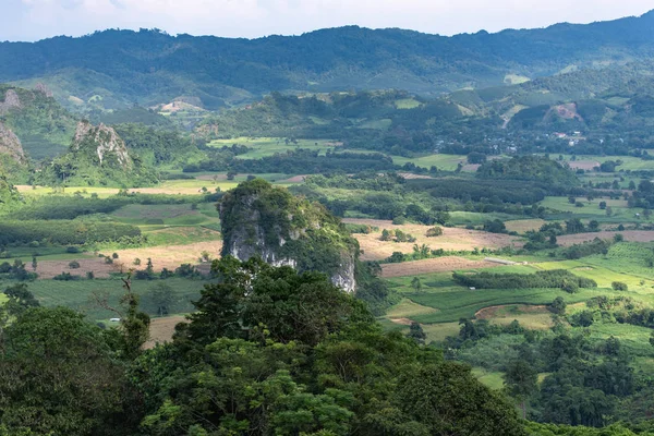 Bellissimo Paesaggio Valle Phu Lanka Piccolo Sentiero Caffetteria Maestosa Vista — Foto Stock