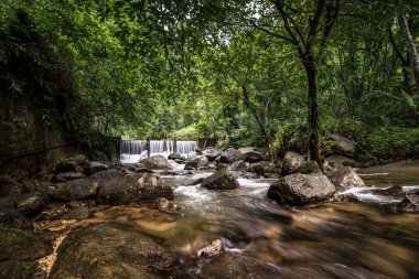 Khao Yai Milli Parkı, Tayland'da fotoğraflandı yağmur ormanlarında şelaleler.