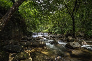 Khao Yai Milli Parkı, Tayland'da fotoğraflandı yağmur ormanlarında şelaleler.