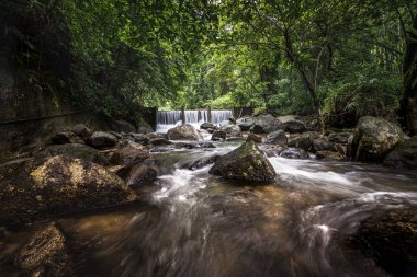 Khao Yai Milli Parkı, Tayland'da fotoğraflandı yağmur ormanlarında şelaleler.