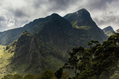 Dağlar tropikal yağmur ormanlarında, Tayland