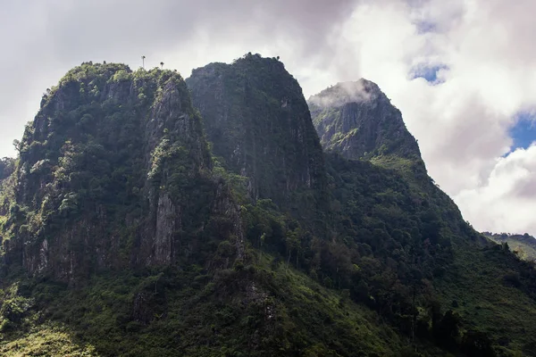 Dağlar tropikal yağmur ormanlarında, Tayland