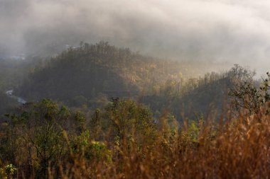 Sis Chiang Han İlçesi Tayland deniz bakış