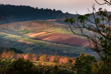 Sunrise bakış açısı ve dağlar, Tayland kapsayan sis
