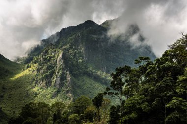 Yüksek dağlar tropikal yağmur ormanları Tayland