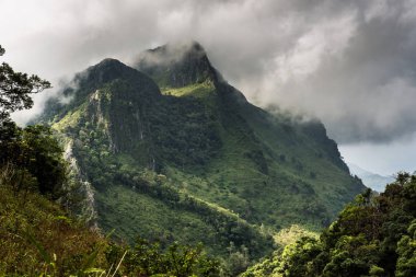 Yüksek dağlar tropikal yağmur ormanları Tayland