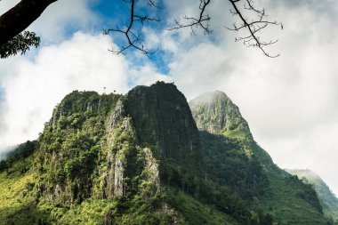 Yüksek dağlar tropikal yağmur ormanları Tayland