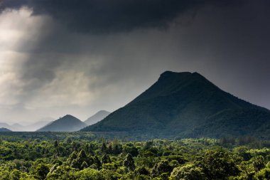 Tropikal ormanlar ve yüksek dağlar, Tayland