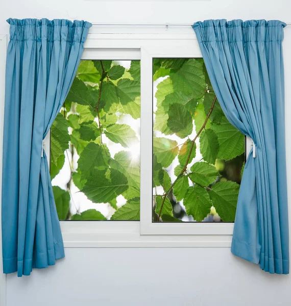 güzel penceresinden görüntülemek için doğa picturesquely