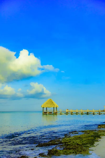 Tropikal beyaz kumlu plaj. Palmiye yaprağı çatılı ahşap iskele sahilde gazebo ile. La Romana, Dominik Cumhuriyeti. 