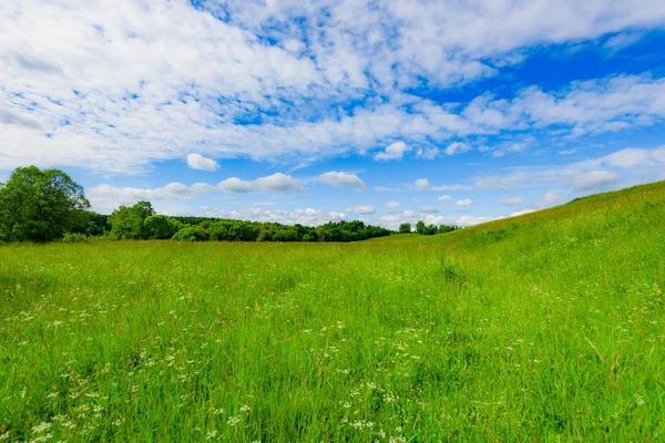 Meadow Landscape Green Grass Hill Blue Sky Clouds — Stock Photo, Image