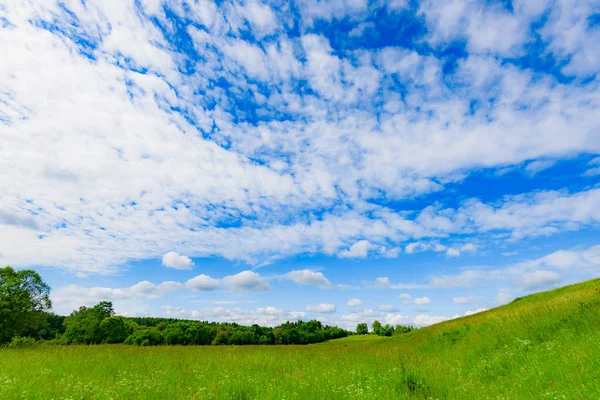 Meadow Landscape Green Grass Hill Blue Sky Clouds — Stock Photo, Image