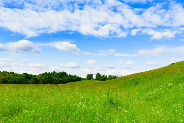 Prado Paisaje Con Hierba Verde Una Colina Contra Cielo Azul —  Fotos de Stock