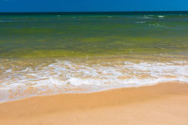 güzel kumlu plaj manzara Güney Çin Denizi Vietnam