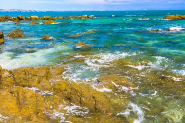 Vietnam Güney Çin Denizi şeridinin kayalık güzel sahil