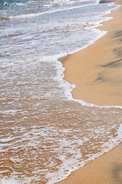 güzel kumlu plaj manzara Güney Çin Denizi Vietnam