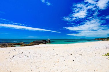 Cennet doğa, yeşil ile tropikal bir plajda denize 