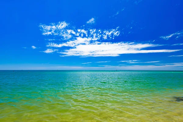 Природа Море Пляже Зеленью — стоковое фото