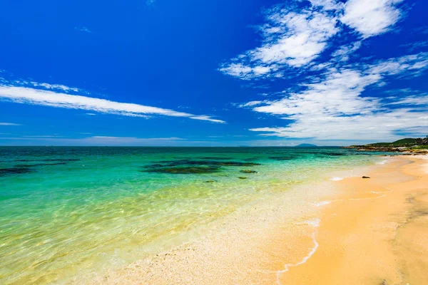 Cennet Doğa Yeşil Ile Tropikal Bir Plajda Denize — Stok fotoğraf