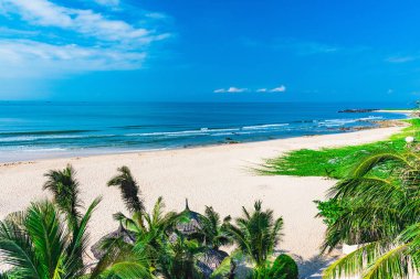 Karayip Denizi kıyısında beyaz kum resort beach palmiye ağacı 
