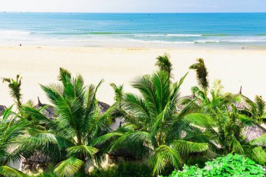 Karayip Denizi kıyısında beyaz kum resort beach palmiye ağacı 