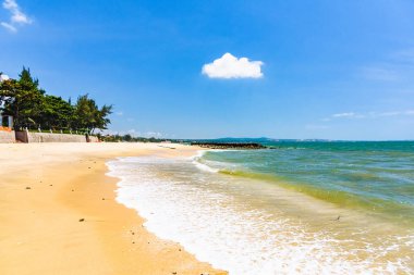 güzel kumlu plaj manzara Güney Çin Denizi Vietnam