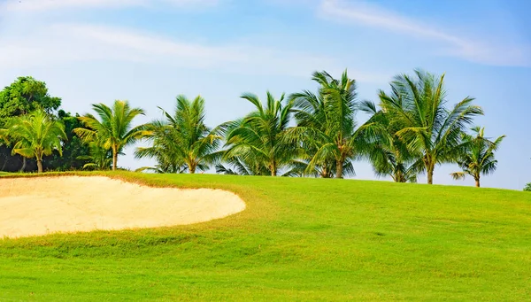 Trawa Trawnik Zielony Zadbane Pola Gry Golfa — Zdjęcie stockowe
