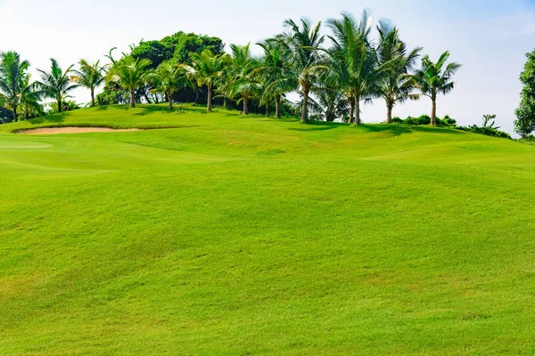 Well Groomed Field Lawn Green Grass Playing Golf — Stock Photo, Image