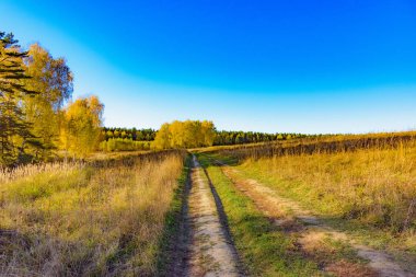 Mavi gökyüzü karşı bir alanda toprak yol