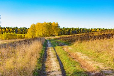Mavi gökyüzü karşı bir alanda toprak yol