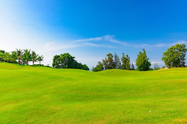 Well Groomed Field Lawn Green Grass Playing Golf — Stock Photo, Image
