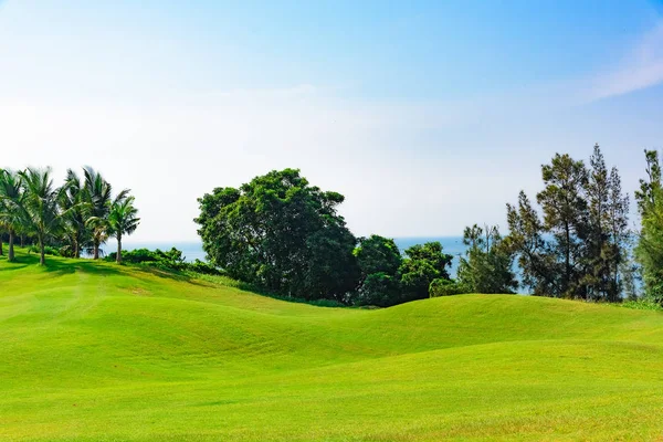 Udržovaná Pole Zelená Tráva Pro Hrát Golf — Stock fotografie