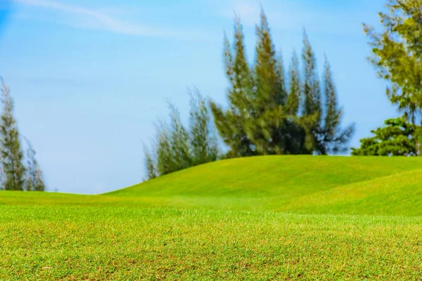 Well Groomed Field Lawn Green Grass Playing Golf — Stock Photo, Image