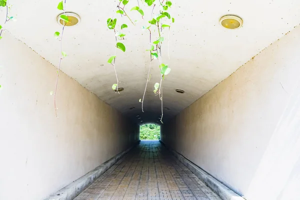 Unterirdischer Fußgängertunnel Durch Deckengewölbe — Stockfoto