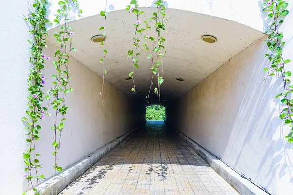 Túnel Peatonal Subterráneo Través Del Arco Del Techo Pasaje — Foto de Stock