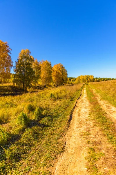 Dirt Road Field Blue Sky — Stock Photo, Image