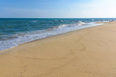 Cennet sıcak tropikal iklim kumlu plaj deniz sakin dalga