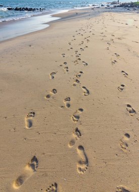 Cennet sıcak tropikal iklim kumlu plaj deniz sakin dalga