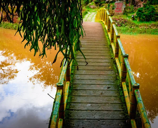 Arco Puente Madera Sobre Río Trópico Vietnam — Foto de Stock