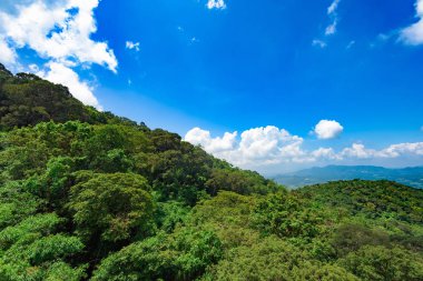 tropikal yeşil orman mavi gökyüzü bulutlar vietnam ile yükseklikten görüntülemek