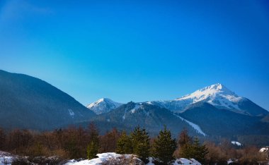Sabahın erken saatlerinde ağaçta sis kaplı karlı dağ zirveleri
