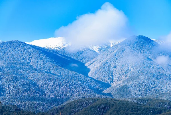 snowy mountain peaks covered with trees in the fog in the early morning