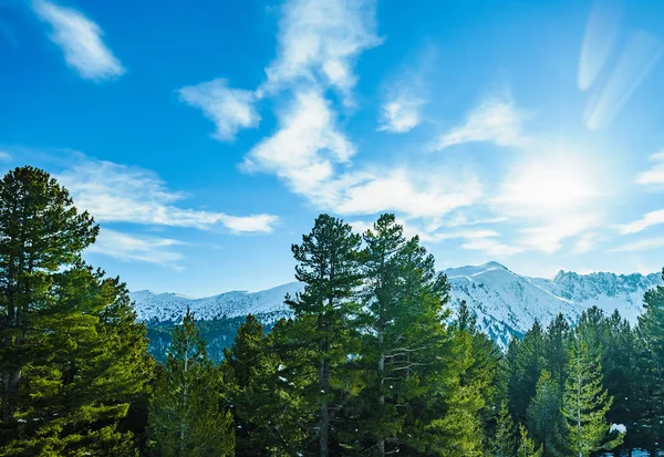 Montagnes Pirin en hiver en Bulgarie — Photo