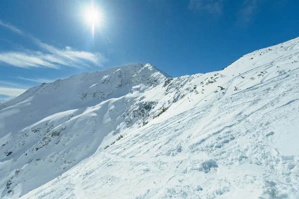 Bulgaristan'da kışın Pirin dağları — Stok fotoğraf