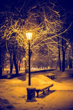 fener gece kar ağaç