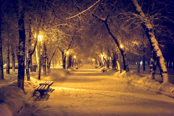 Lanterna noite árvore de neve — Fotografia de Stock