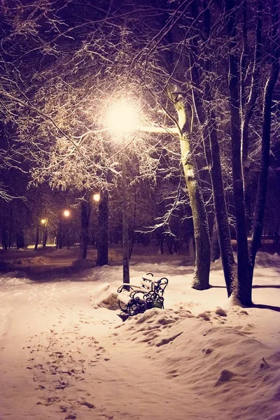 Lanterna noite árvore de neve — Fotografia de Stock